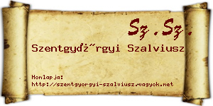 Szentgyörgyi Szalviusz névjegykártya